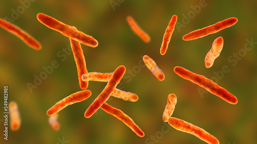 Bacteria Mycobacterium bovis, illustration