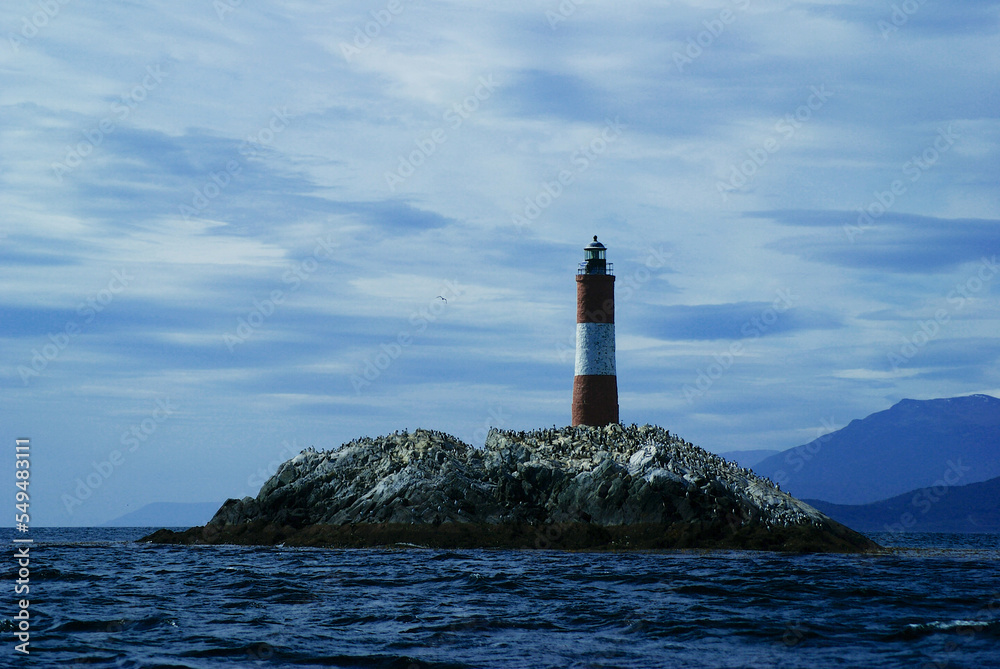 Beagle Channel - a strait in the Tierra del Fuego Archipelago, sea lions and various birds
