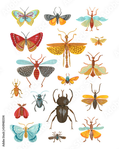 Poster Colorful insects, butterflies and beetles © vaneeva