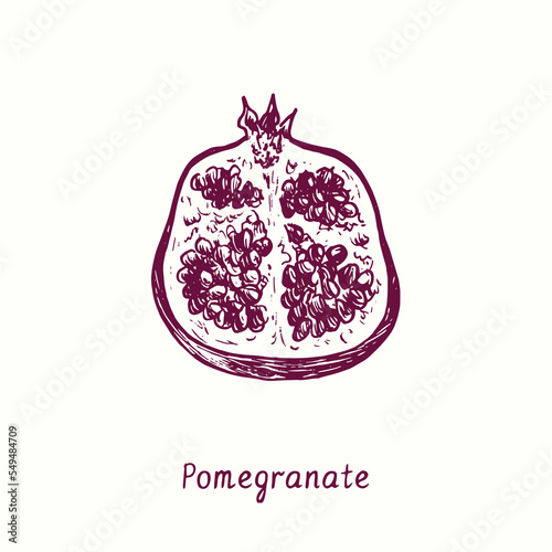 The pomegranate (Punica granatum) cut half fruit. Ink doodle drawing in woodcut style