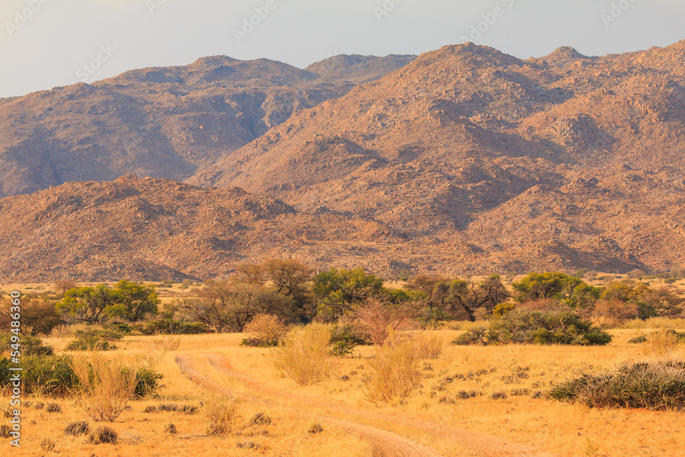 African landscape, savannah during a hot day. Solitaire, Namibia. African landscape, savannah during a hot day. Solitaire, Namibia.