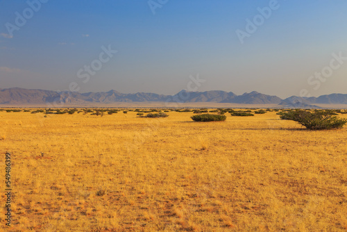 African landscape, savannah during a hot day. Solitaire, Namibia. © Tomasz Wozniak