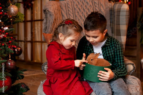 a boy and a girl are sitting with a rabbit, a symbol of the new coming year 2023, next to the Christmas tree