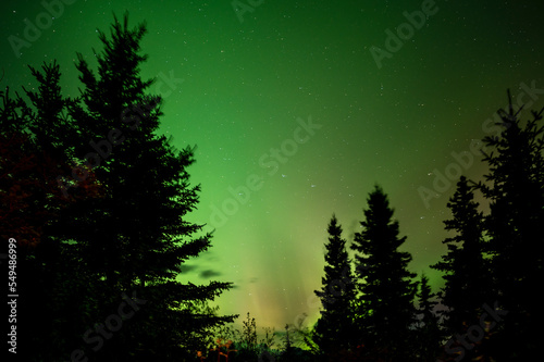 The moving aurora light above Jasper, Northern Light, stars