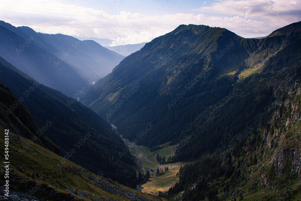 Obraz premium Wilderness