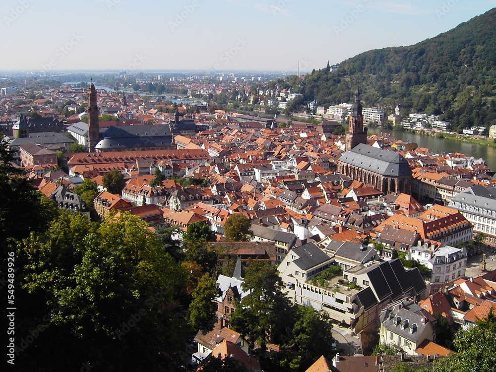 Heidelberg city in Germany from the top