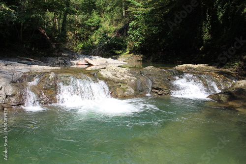 Mountain landscape. A mountain river flows into the gorge, beautiful nature.