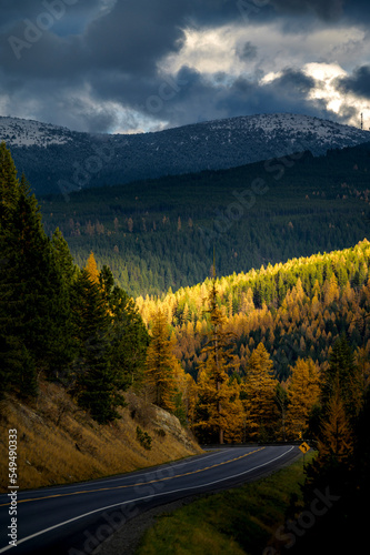 A road with Panoramic view over hills with fall colors in Canadian Rockies