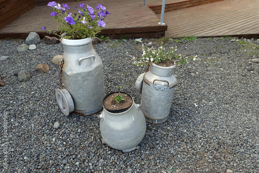 Obraz premium utilisation des pots de lait