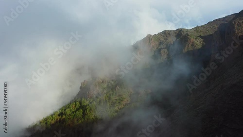 Fog clouds quicly descend down the mountainside to the gorge coniferous forest. Beautiful mountain peak in haze. Sunny winter day in Teide National Park Tenerife. photo