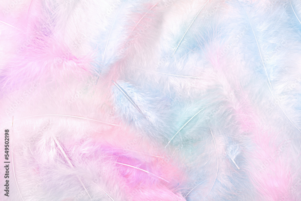 Background of fluffy, delicate feathers. Colored bird feathers. Close-up. Background of fluffy, delicate feathers. Colored bird feathers. Close-up.