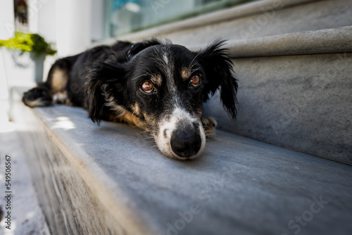 Fototapeta Naklejka Na Ścianę i Meble -  Naoussa mittags