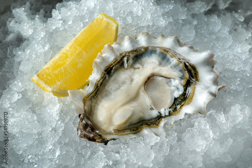 Fresh oyster on ice with lemon, fresh and beautiful.