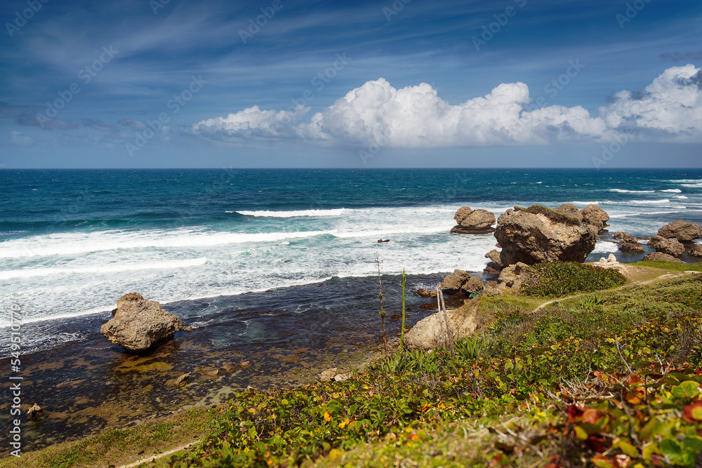 Landscape from Barbados, beautiful beach on the coast side near Bathsheba. Caribbean island in tropical paradise