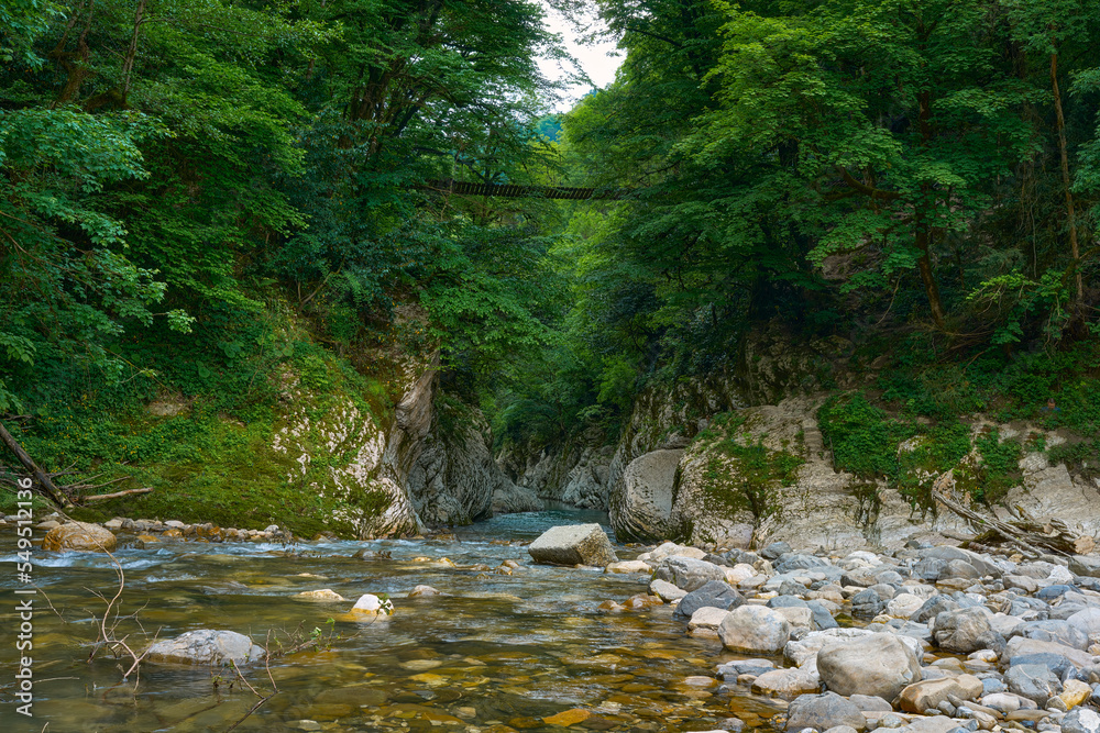 View of the mountain river flowing out of a beautiful gorge. Path of health in the park of yew-boxwood grove. Sochi park. View of the mountain river flowing out of a beautiful gorge. Path of health in the park of yew-boxwood grove. Sochi park.