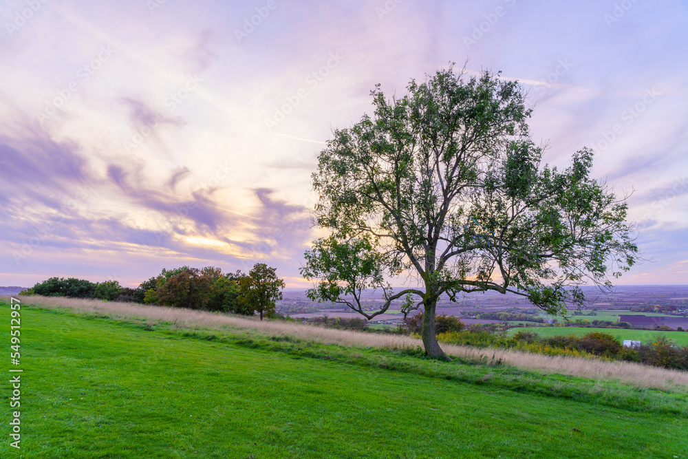 Sunset view of tree, and countryside in Dunstable Downs Sunset view of tree, and countryside in Dunstable Downs