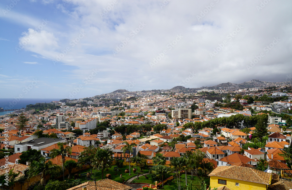 view over funchal village on madeira island