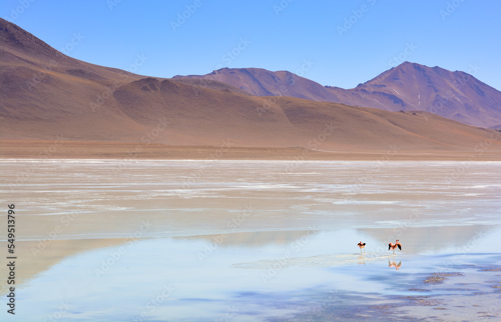 Laguna Blanca, Uyuni, Bolívia