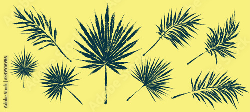Palm trees. Textured ink brush drawing. illustration