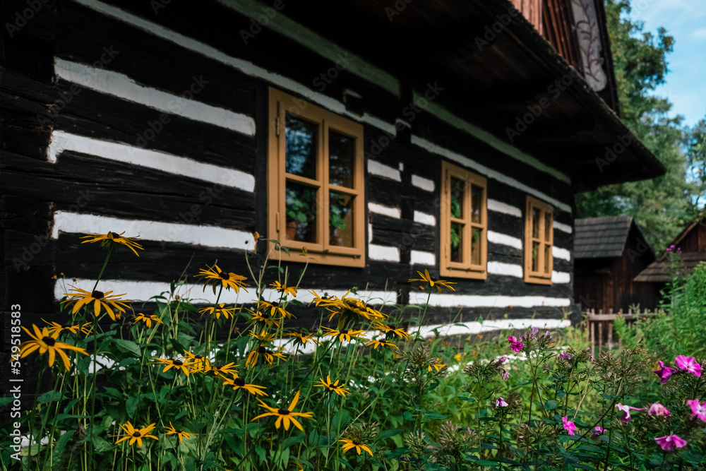 flowers in front of the windows