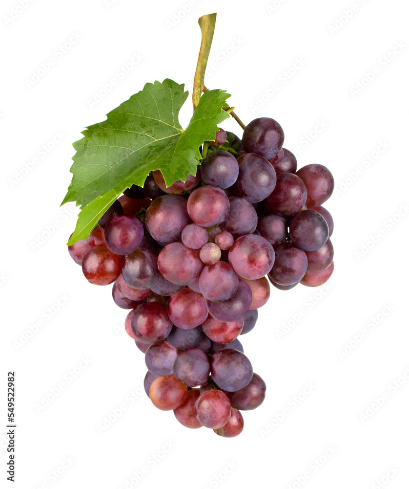 Fototapeta premium Fresh grape.