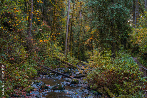 McDowell Creek Falls County Park in Linn County, Oregon, United State