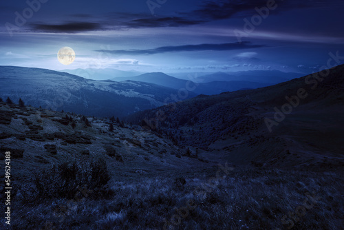 rolling hills and grassy meadows of carpathians. chornohora mountain ridge in the distance on a summer night with clouds on the sky in full moon light © Pellinni