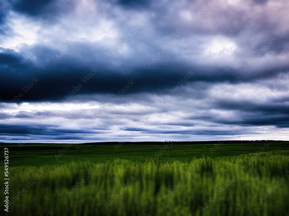 Obraz premium Blue sky and green fields, generated by A.I.