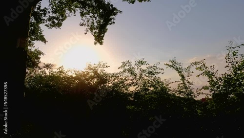 Colorful Sunset behind Birch and bushes in a rural setting. High quality 4k footage photo