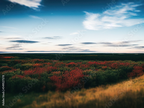 Beautiful landscape photo for a blog, generated by A.I.