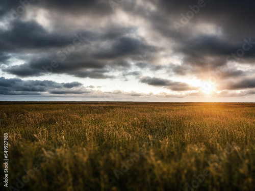 Beautiful sunset over Danish agriculture, generated by A.I.
