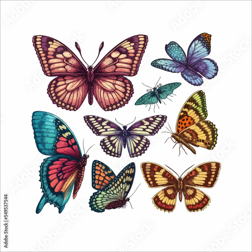 Cartoon butterflies set. Flying insects, delicate moths species with multicolored wings collection. Flying colorful insects, spring butterfly moth insect on isolated background. Vector illustration