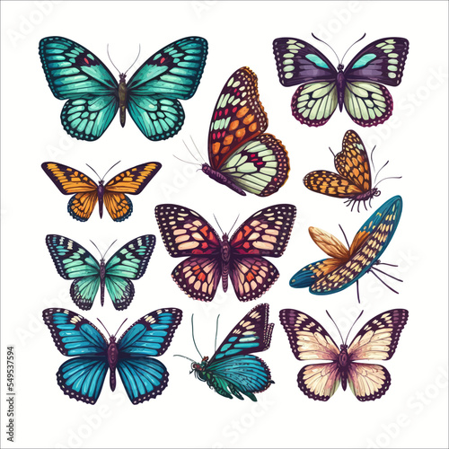 Cartoon butterflies set. Flying insects, delicate moths species with multicolored wings collection. Flying colorful insects, spring butterfly moth insect on isolated background. Vector illustration