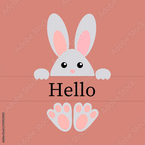 Cute gray bunny on a pink background