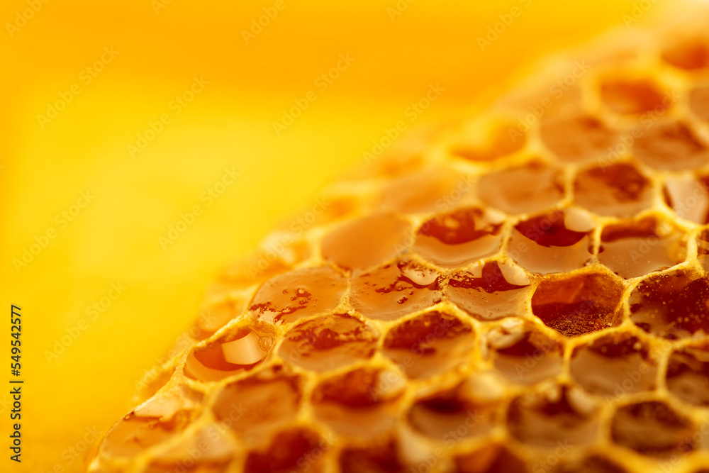 Close up shot of a honeycomb background texture. - obrazy, fototapety, plakaty 