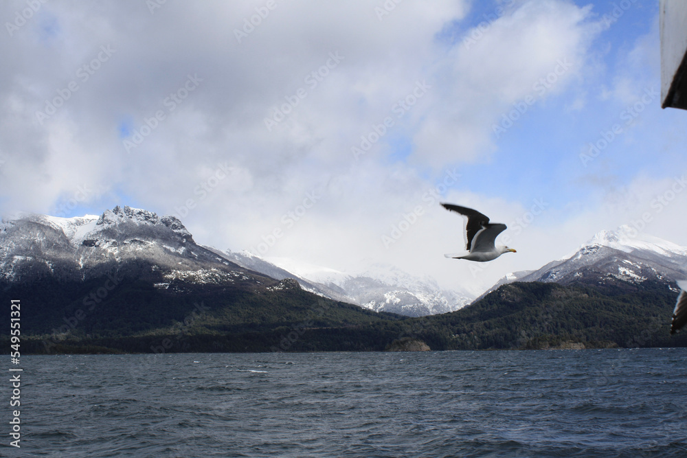 Fototapeta premium kite surfing on the sea