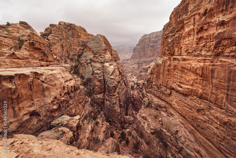 Fototapeta premium Typical landscape at Petra, Jordan, rocky walls around narrow canyon, few small bushes growing in red dusty ground