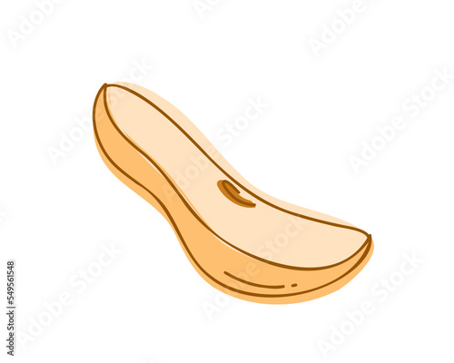 Slice a fresh yellow pear. Vector illustration
