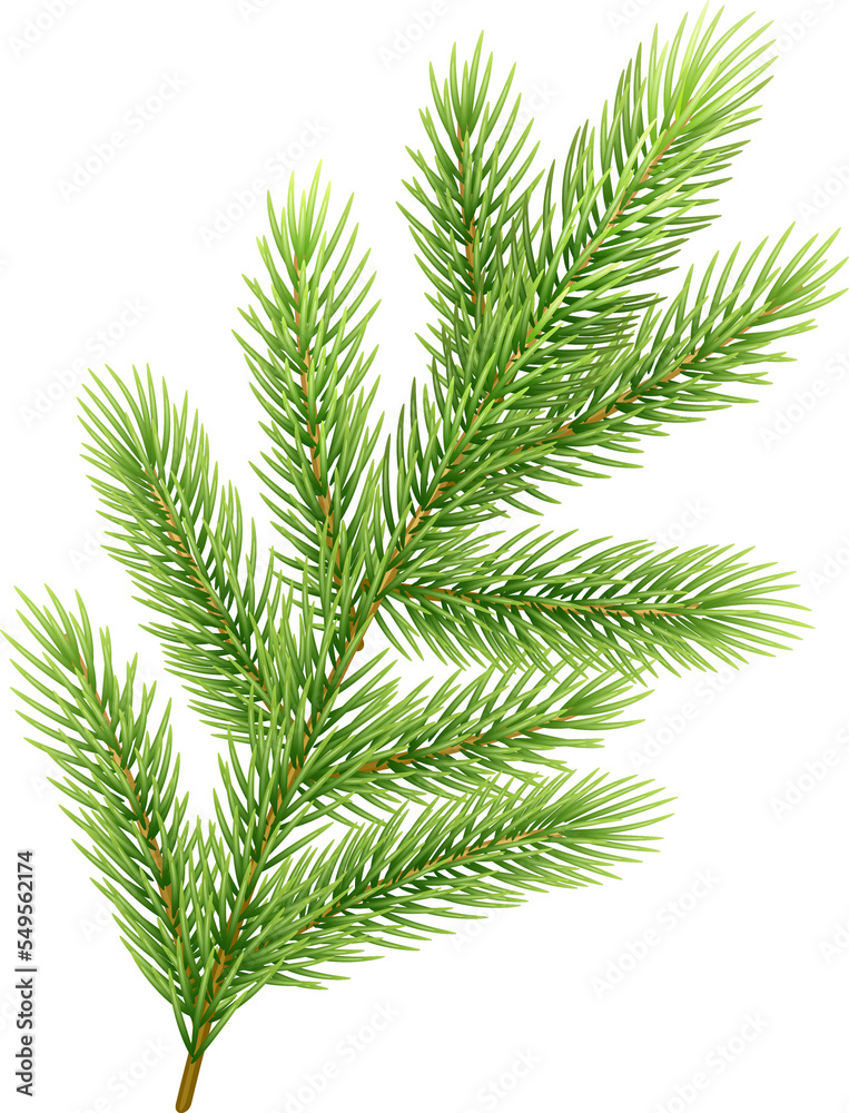Xmas Tree Branch Xmas Tree Branch