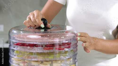 Fruit puree in dehydrator, Fruit puree and fruit in dehydrator, girl closes the lid of the dehydrator photo