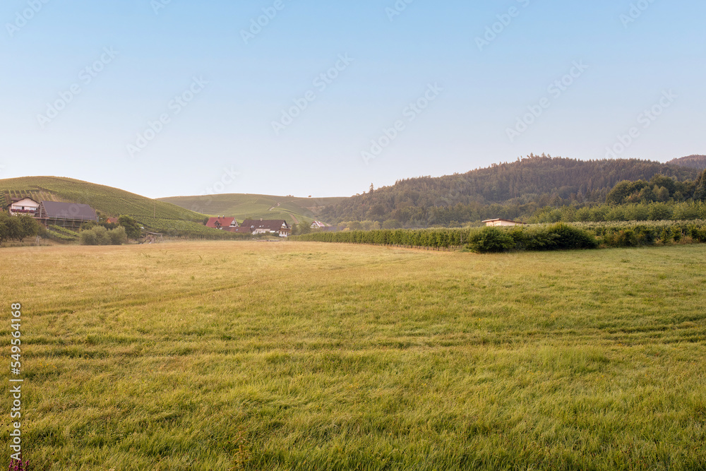 View of beautiful agricultural fields with blue sky in in Durbach, Germany, black forest area, near Baden-Baden, HDR