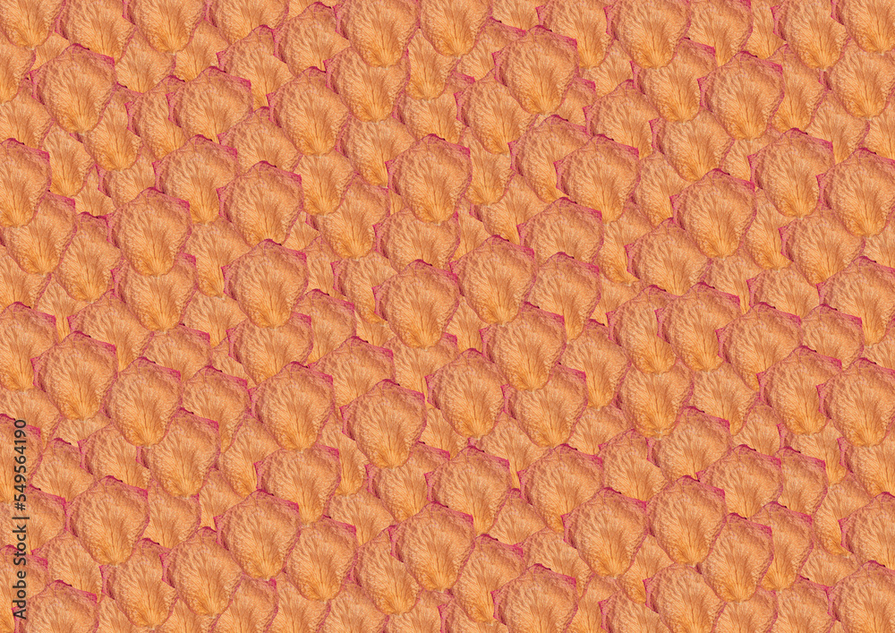 Dried rose petal orange, red and yellow in a full page pattern Dried rose petal orange, red and yellow in a full page pattern