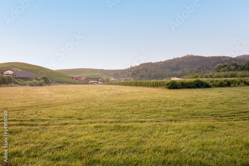 View of beautiful agricultural fields with blue sky in in Durbach, Germany, black forest area, near Baden-Baden, HDR © Peter Togel