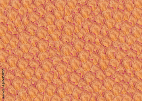 Dried rose petal orange, red and yellow in a full page pattern