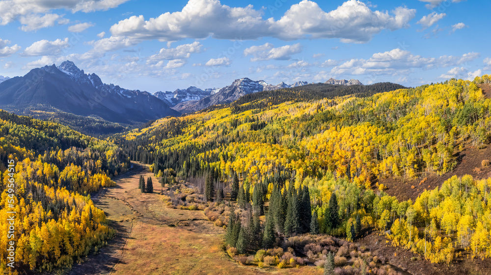Naklejka premium Rocky Mountains - Autumn golden aspen trees near Ridgway Colorado - County Road 7 - Mount Sneffels - San Juan Mountains