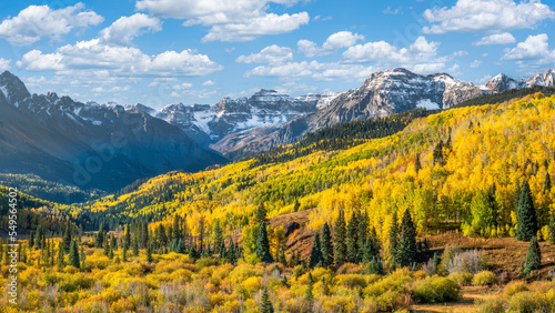 Rocky Mountains - Autumn golden aspen trees near Ridgway Colorado - County Road 7 - Mount Sneffels - San Juan Mountains