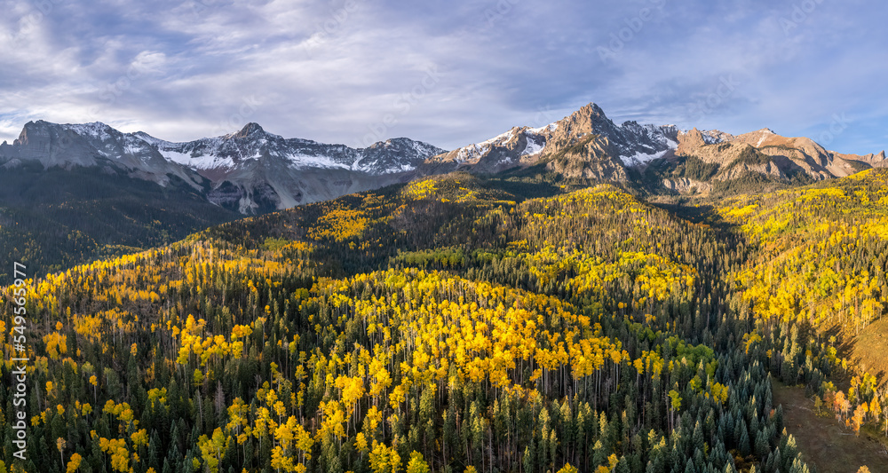 Obraz premium Rocky Mountains - Autumn golden aspen foliage near Ridgway Colorado - County Road 9 - on the Double RL Ralph Lauren ranch at sunrise