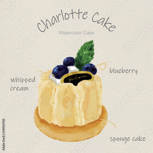watercolor cakes with Charlotte cake