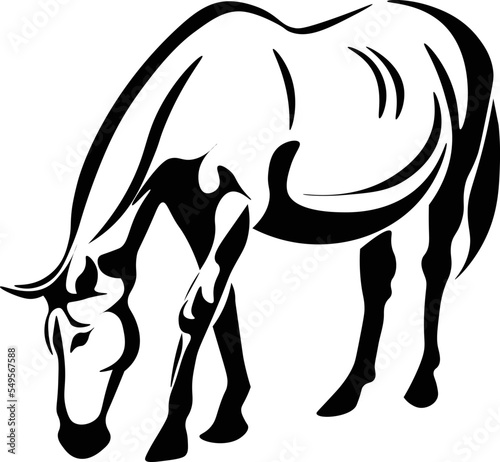 Black and White Cartoon Illustration Vector of a Stallion Horse Grazing