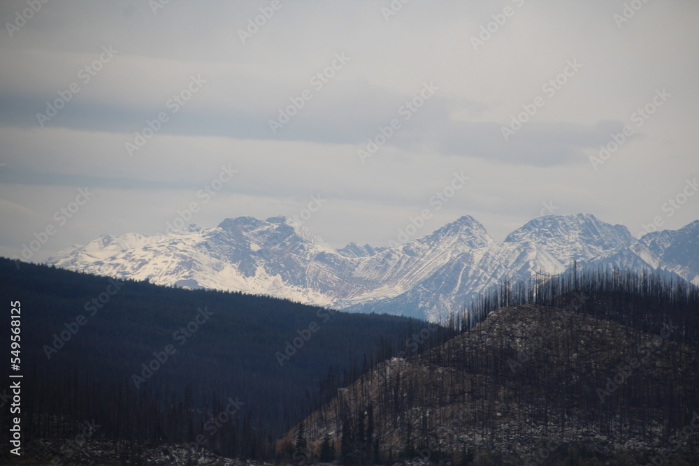 Snow Ridge, Jasper National Park, Alberta Snow Ridge, Jasper National Park, Alberta